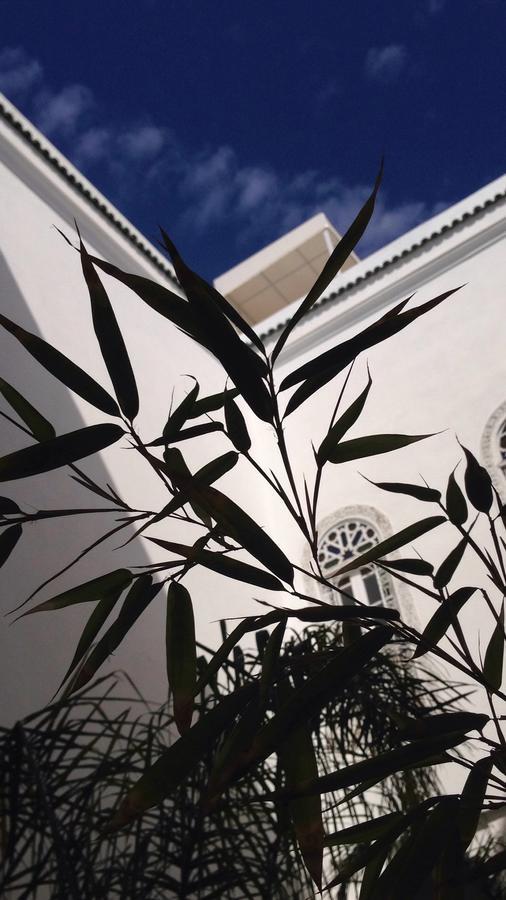 Riad Blanc De Φεζ Εξωτερικό φωτογραφία